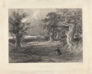 Buitenkant van het bos