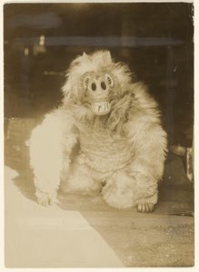 In het wolvenmasker door Edward S. Curtis