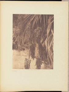 Palmvruchten door Edward S. Curtis