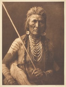 Wolf - Apsaroke door Edward S. Curtis