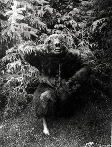 Nane-Qagyuhl, inheems Amerikaans kostuum door Edward Sheriff Curtis