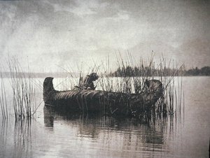 De Rietverzamelaar, Montana door Edward Sheriff Curtis