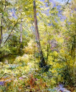 Gevlekt zonlicht, Sheepscombe Woods