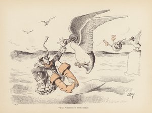 Staarten met een Twist: De Albatros