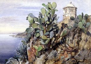 Cactus Opuntia, Monaco door Edward William Cooke