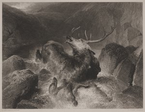 Dood van het hert, gegraveerd door John Cousen (1804-80)