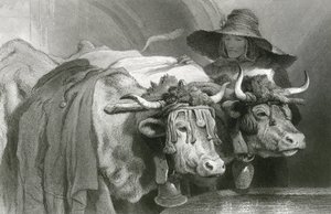 Ossen bij de tank, Genève (gravure) door Edwin (after) Landseer