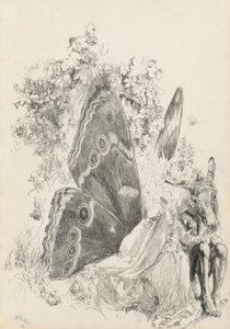 Bottom & Titania, illustratie voor Een Midzomernachtsdroom