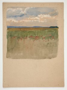 Landschap met veld, horizon, lucht