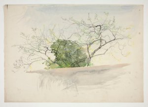 Landschap met bomen