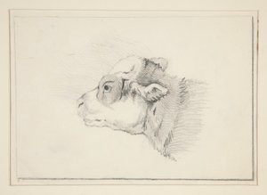 Schets van een schaap door Edwin Austin Abbey