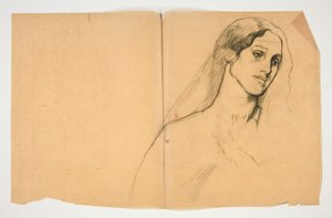 Studie van een vrouw