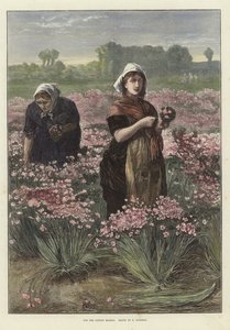 Voor de Londense Markt door Edwin Buckman