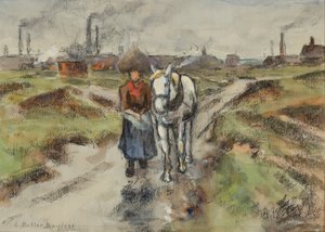 Het leiden van de trekschuit pony
