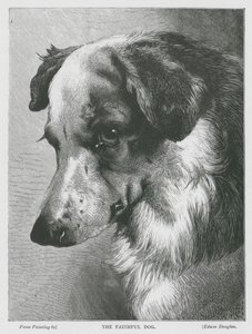 De trouwe hond (gravure)