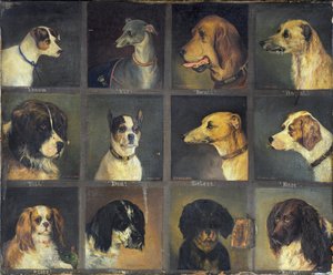 Twaalf Favoriete Honden, 1883 door Edwin Frederick Holt
