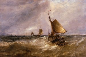 Nederlandse Pinks door Edwin Hayes