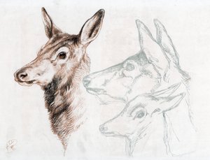 Facsimile van een tekening door Sir E Landseer, 1874