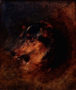 Een Hoofdstudie van een Collie Hond door Edwin Landseer