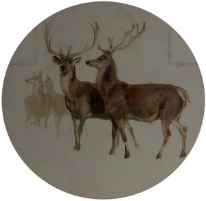 Herten in een Landschap (Studies van Herten)