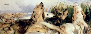 Otterhonden