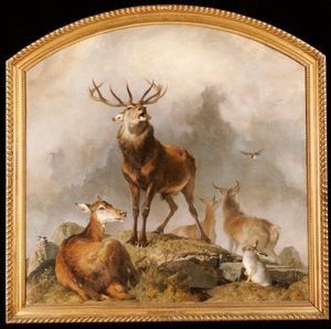 Scène in Braemar - Hoogland herten