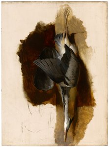 Studie van een dode reiger, c.1832-33 door Edwin Landseer