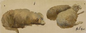Drie schapen in rust