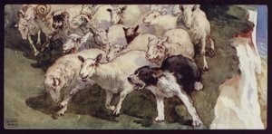 Bobtail-schapenherdershond en kudde op de kliffen door Edwin Noble