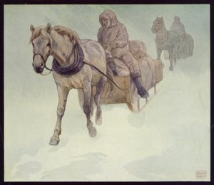 Siberische pony