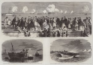 De Burgeroorlog in Amerika door Edwin Weedon