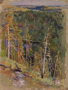  door Eero Järnefelt