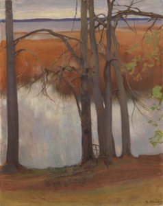  door Eero Järnefelt