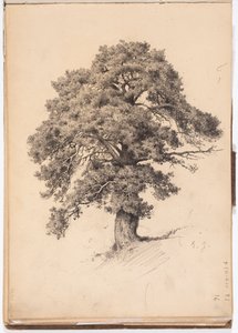  door Eero Järnefelt