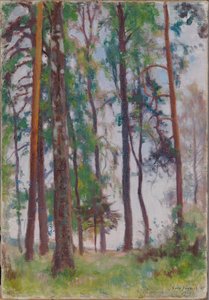  door Eero Järnefelt