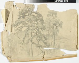  door Eero Järnefelt