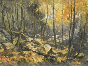 Felsenmeer door Egbert Rubertus Derk Schaap