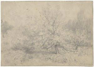Landschap met een boom prominent in het midden door Egbert Rubertus Derk Schaap