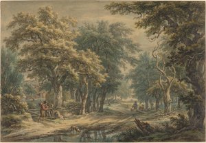 Bij Donderen, in de bossen van Drenthe