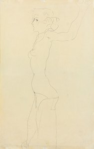 Vrouwelijk naakt, 1911 door Egon Schiele