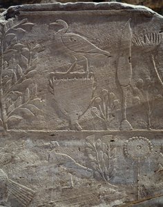 (detail)