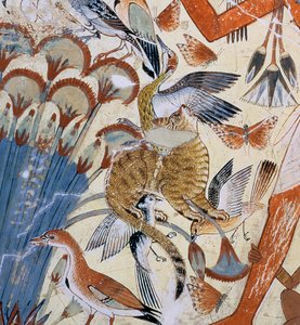 Detail van een kat, van Nebamun die jaagt in de moerassen met zijn vrouw en dochter, deel van een muurschildering uit de grafkapel van Nebamun, Thebe, Nieuwe Koninkrijk, ca. 1350 v.Chr.