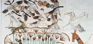 Eenden, nesten, vlinders, katten en knaagdieren, detail van de jacht- en visscène in de moerassen, fresco, noordmuur, langwerpige kamer, Thebaanse graf TT69, Sheikh Abd el-Qurna, Thebe. Egyptische beschaving, Nieuwe Rijk, Dynastie XVIII. door Egyptian 18th Dynasty