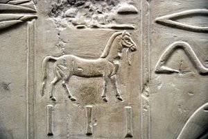 Egyptische antiquiteit: voorstelling van een paard. Laag reliëf van het graf van de Vizier Ramose (18e dynastie). Luxor, Thebe, Vallei der Edelen Egypte door Egyptian 18th Dynasty