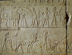 Egyptische oudheid: scènes van werk op het veld en offers aan de farao. Detail van een reliëf uit het graf van Horemhed (circa 1323-1293 v.Chr.) koninklijke schrijver van Toetanchamon. 1354-1326 v.Chr. Bologna, Civico Museo Archeologico door Egyptian 18th Dynasty