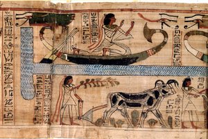 Egyptische antiquiteit: de naam van de overledene Aner vertegenwoordigt op de boot van Osiris, scène van ploegen en wegen van zielen (psychostase). Papyrus uit een Dodenboek, 20e dynastie, uit Thebe. Turijn, Egyptisch museum