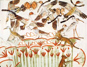 Vissen en jagen in de moerassen, detail van de vogels, uit de Grafkapel van Menna, Nieuwe Koninkrijk (muurschildering) door Egyptian 18th Dynasty
