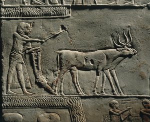 Horemheb die land ploegt in de velden van Iaru. Reliëf uit het graf van Horemheb in Saqqara (detail) door Egyptian 18th Dynasty