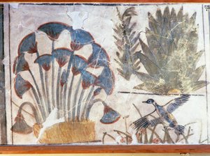 Schilderij van een eend tussen planten, uit het Paleis van Akhenaton, El-Awara, Egypte door Egyptian 18th Dynasty