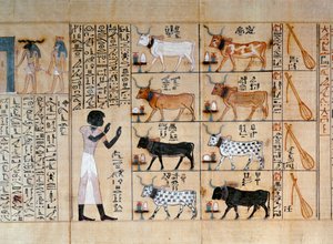 Papyrus met ossen, uit het Dodenboek van Maiherperi door Egyptian 18th Dynasty